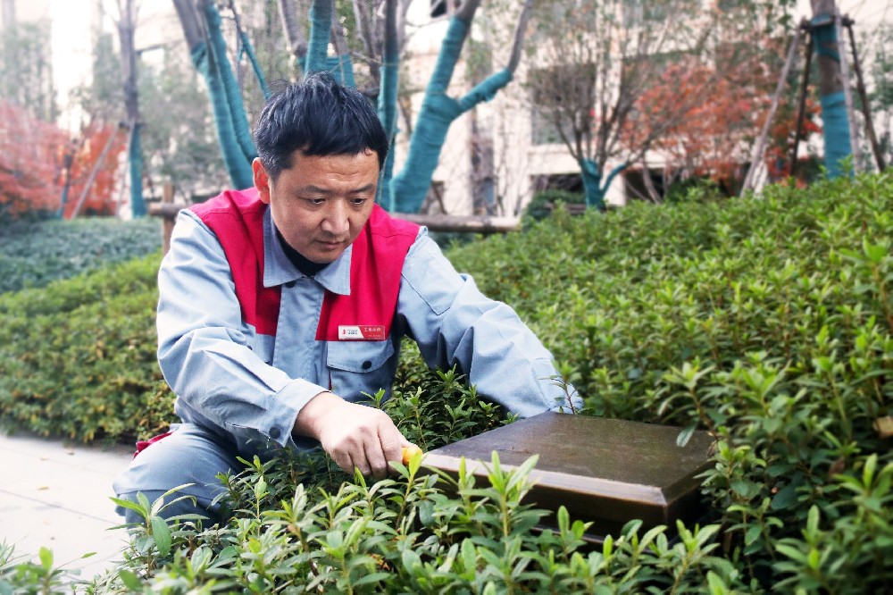 工程管理服务